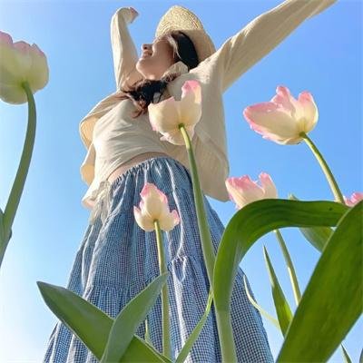 动物狂想曲第二季